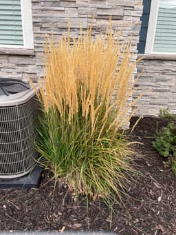 Article thumbnailIMG_5601