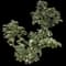 Sea Hibiscus — design image 3