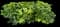 Copperleaf — design image 6