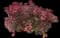 Copperleaf — design image 2
