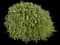 Rosemary — design image 15