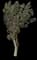 Punk Tree — design image 4