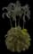 Areca Palm Tree — design image 11