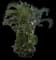Areca Palm Tree — design image 13