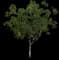 Kou — design image 1