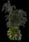 Areca Palm Tree — design image 8