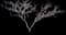 Singapore Graveyard Flower — design image 17