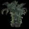 Areca Palm Tree — design image 12