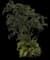Areca Palm Tree — design image 9