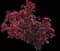 Copperleaf — design image 4