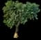 Singapore Graveyard Flower — design image 22
