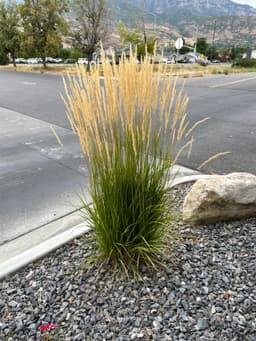 Article thumbnailIMG_5544