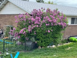 Article thumbnailIMG_3620