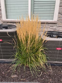 Article thumbnailIMG_5602