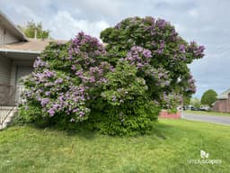 Article thumbnail_IMG_3643