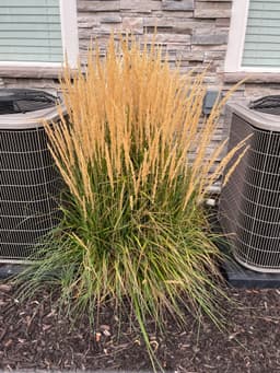 Article thumbnailIMG_5603