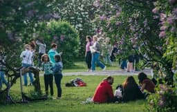 Test 245 (scientific 2545)