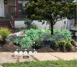 Test19545 (scinetific 194223)