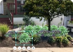 Test 245 (scientific 2545)