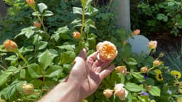 Article thumbnailIMG_5231