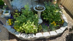 Article thumbnailIMG_5233