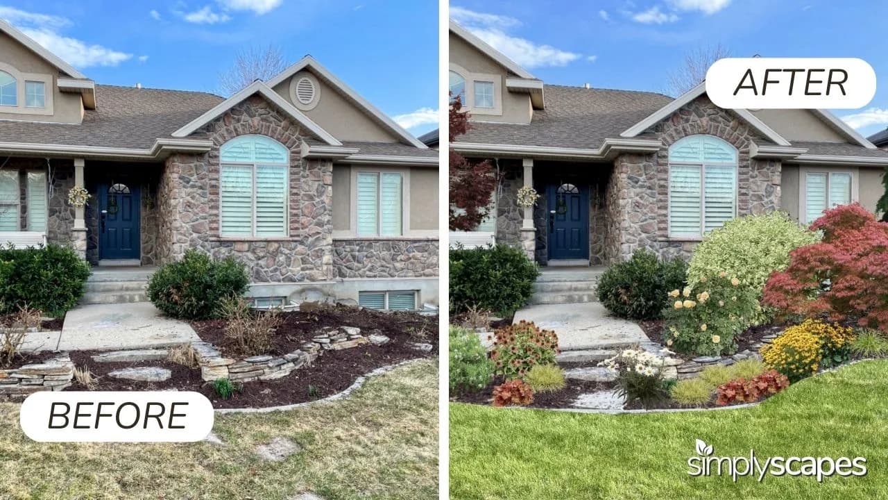 Before and After