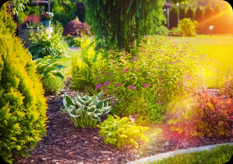 Summer Garden