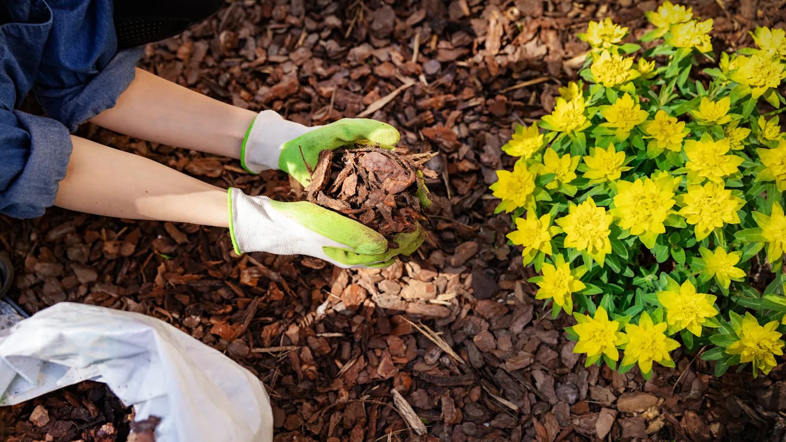 mulch