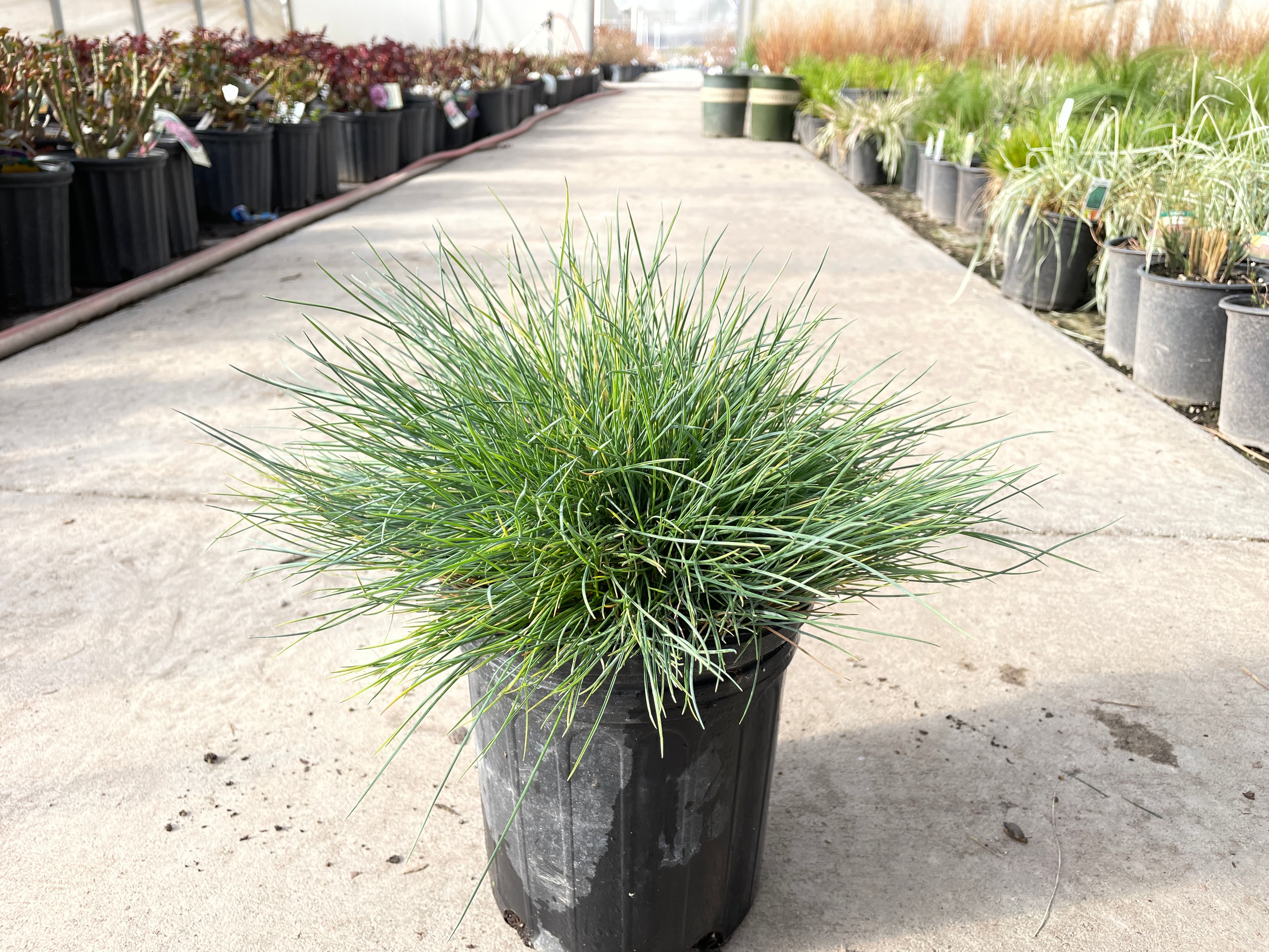 18961067-08C7-4741-861F-67DBDC02EE82