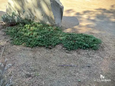 Rock Mat