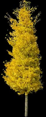Princeton Sentry™ Columnar