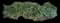Mondo Grass — design image 2