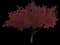 Red Maple Tree — design image 15