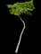 Holywood — design image 1
