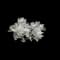 Dusty Miller — design image 2