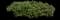 Indian Hawthorn (Rhaphiolepis indica) — design image 17