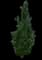 American Dream® Swamp White Oak — design image 1