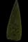 Oriental Arborvitae — design image 10