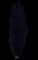 Dawyck Purple Columnar Purple Beech — design image 1