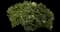 Culinary Thyme — design image 2