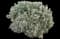 English Lavender — design image 8