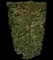 Yew Podocarpus — design image 1