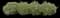 Abelia — design image 1