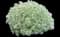 Silvermound Sage Brush — design image 1