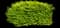 Cole's Compact Burning Bush — design image 2