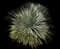 Desert Spoon — design image 15
