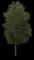 White Ash Tree — design image 5