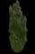 Skyrocket® Columnar English Oak — design image 1