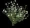 Rose of Sharon — design image 13