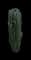 Sky Pencil Holly Tree — design image 1